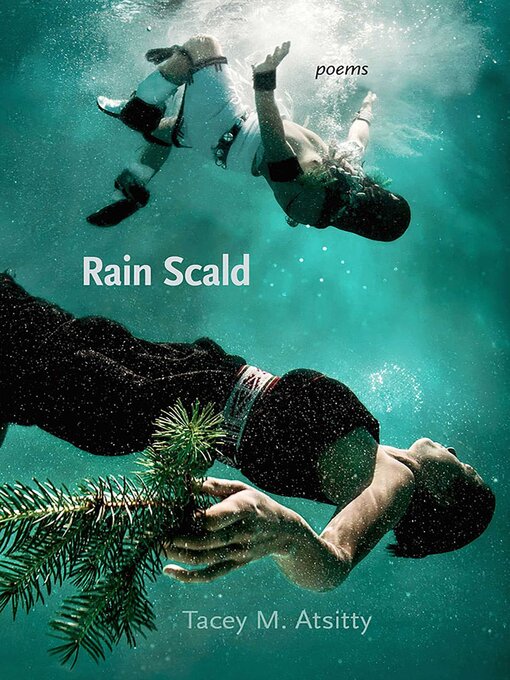Title details for Rain Scald by Tacey M. Atsitty - Wait list